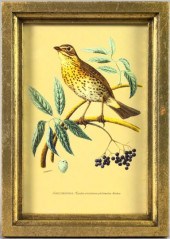 Group of Four Framed Lithograp