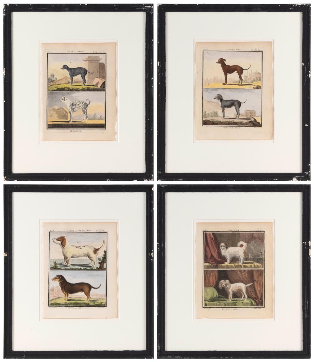 GROUP OF FOUR HAND-COLORED BOOK