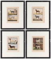 GROUP OF FOUR HAND-COLORED BOO