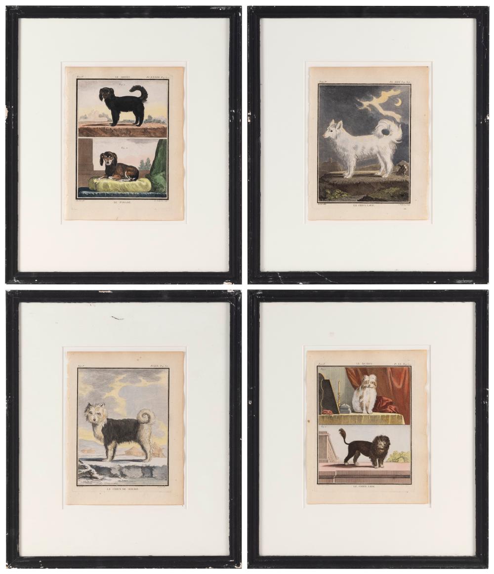 GROUP OF FOUR HAND-COLORED BOOK