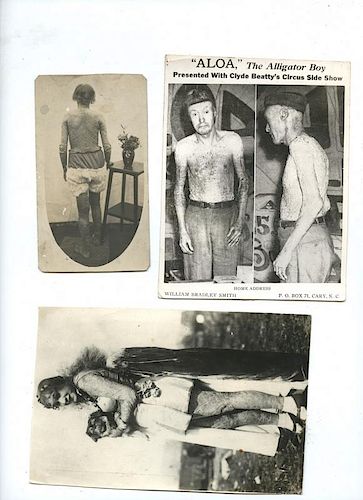 GROUP OF FOUR PHOTOS OF ALLIGATOR