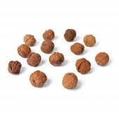 GROUP OF FOURTEEN CHESTNUT CAR
