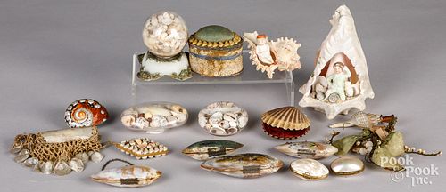 GROUP OF NAUTICAL SEASHELL