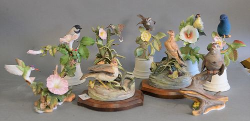 GROUP OF NINE PORCELAIN BIRDS,