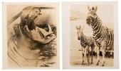 GROUP OF NINE VINTAGE CIRCUS A