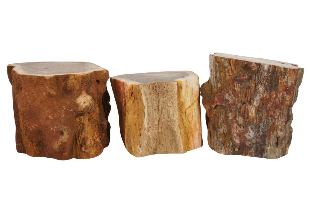 GROUP OF PETRIFIED WOOD