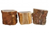 GROUP OF PETRIFIED WOOD SPECIM
