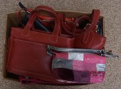 GROUP OF SEVEN COACH PURSESGro