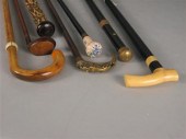 Group of seven walking sticks