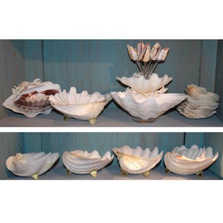 Group of Shell and Faux Shell