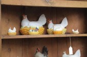 GROUP OF SIX STAFFORDSHIRE HEN