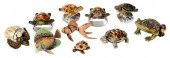 GROUP OF TEN AQUATIC ANIMAL TH
