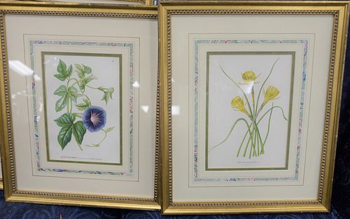 GROUP OF TEN FRAMED BOTANICAL