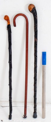 GROUP OF THREE CANES AND A SHO