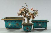 Group of Three Cloisonne Plant
