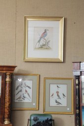 GROUP OF THREE FRAMED BIRD PRI