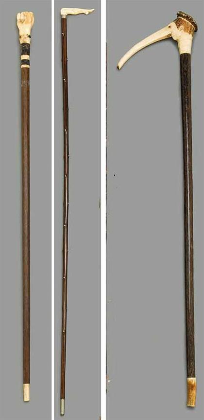 Group of three walking sticks
