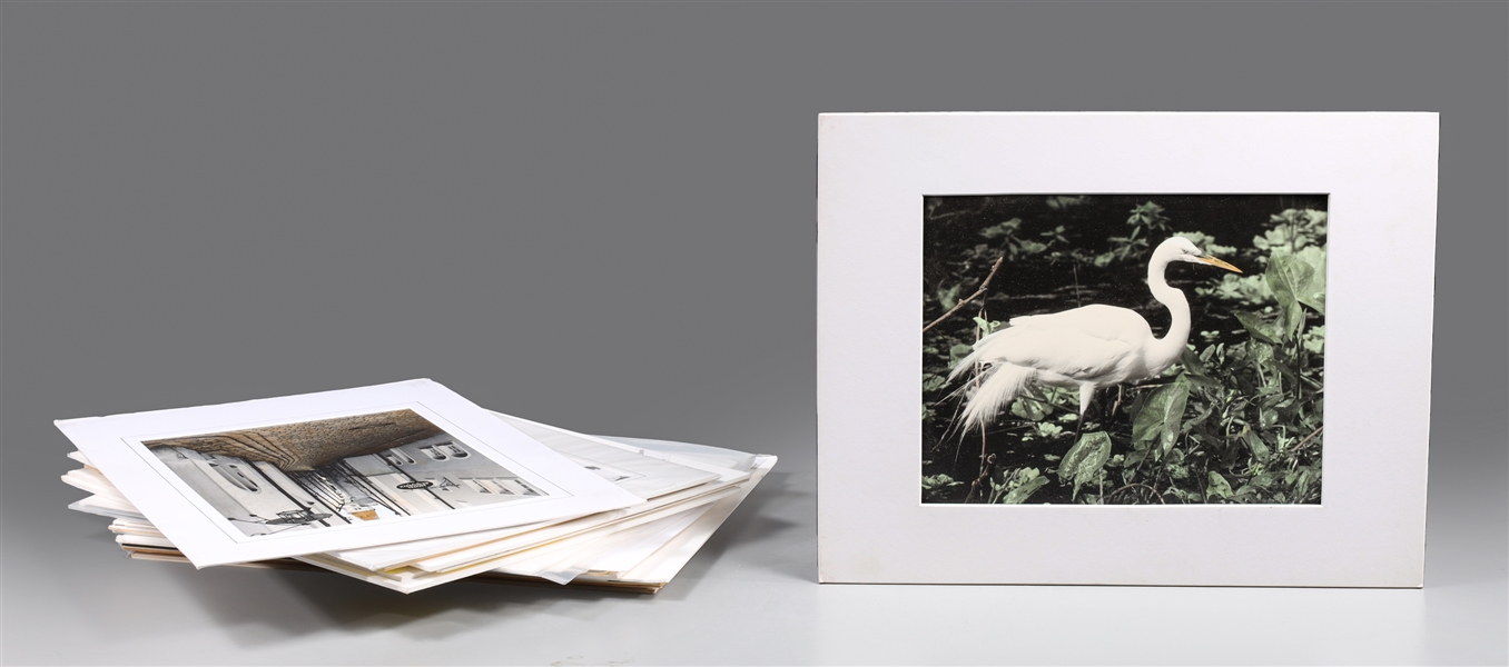 Group of twenty one gelatin print