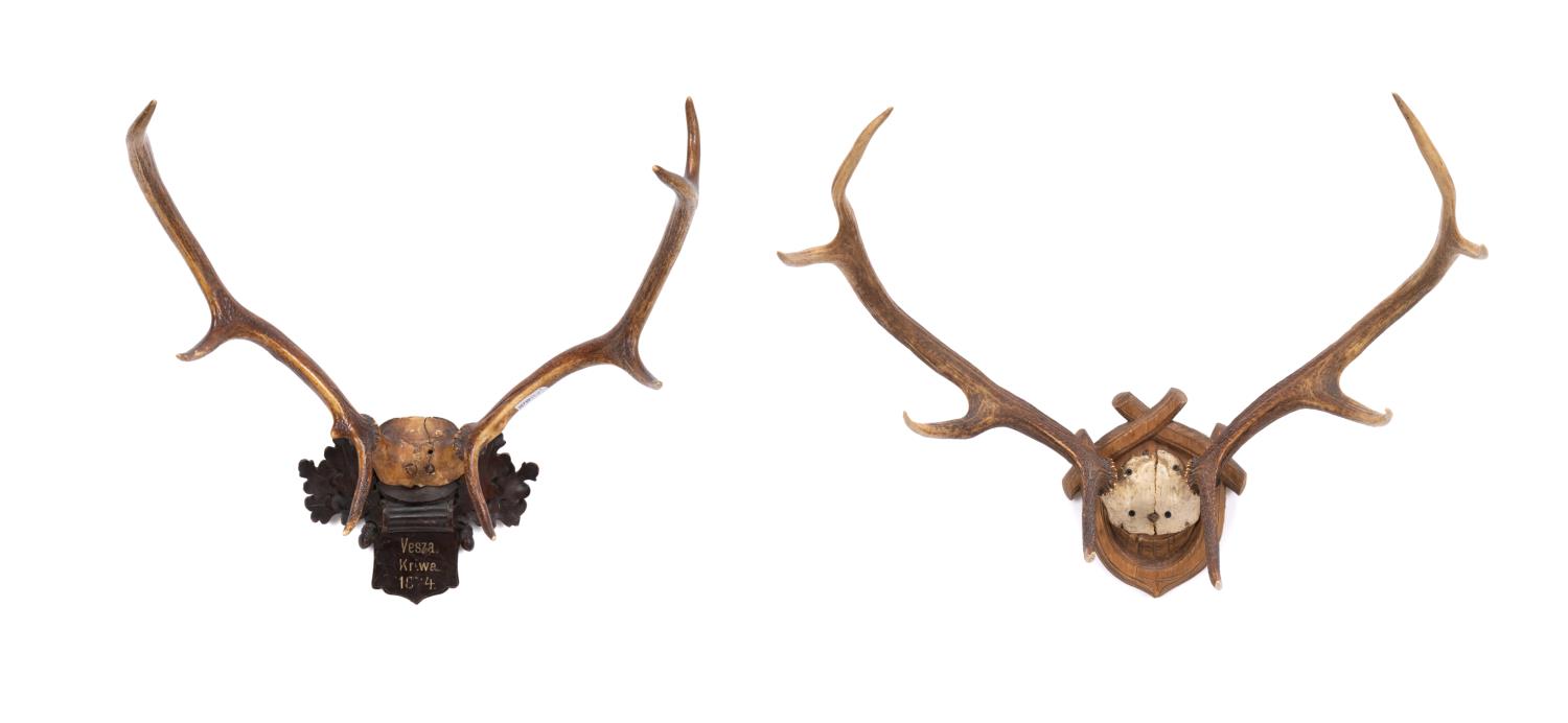 GROUP OF TWO 19TH C. BLACK FOREST