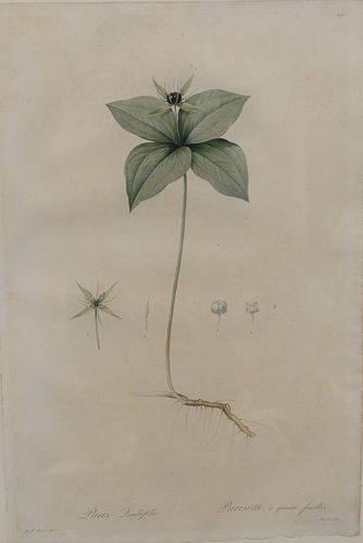 GROUP OF TWO LITHOGRAPHS AFTER