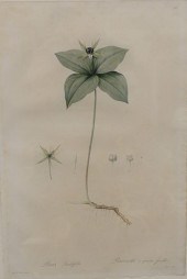 GROUP OF TWO LITHOGRAPHS AFTER