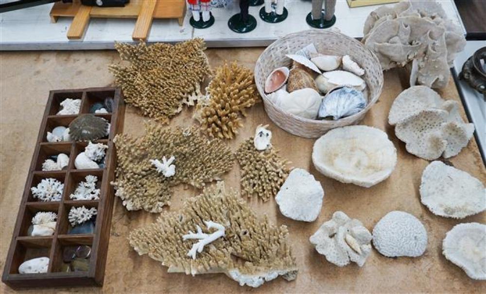 GROUP WITH CORAL AND SEASHELLSGroup