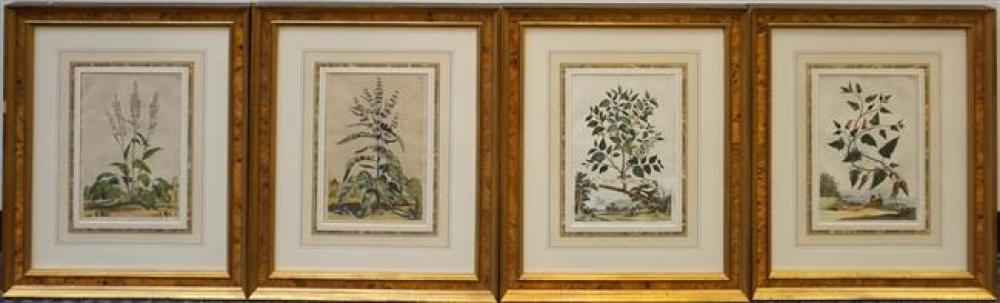 GROUP WITH FOUR BOTANICAL COPPER