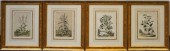 GROUP WITH FOUR BOTANICAL COPP