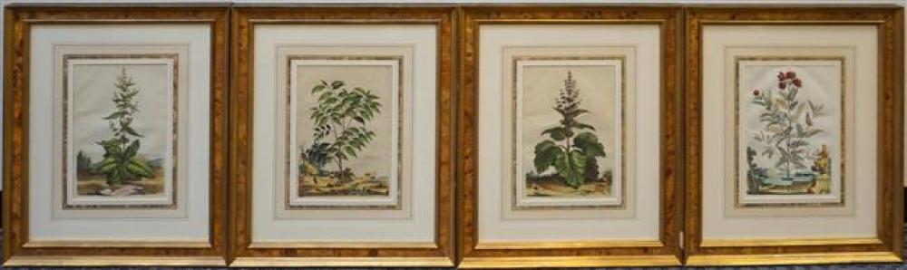 GROUP WITH FOUR BOTANICAL COPPER