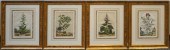 GROUP WITH FOUR BOTANICAL COPP