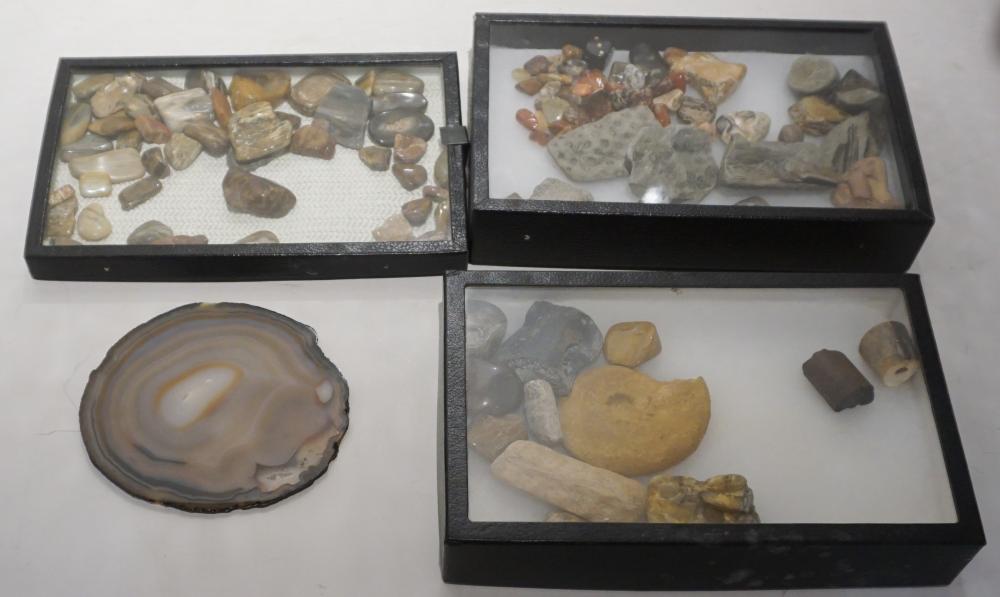 GROUP WITH PETRIFIED AND OTHER