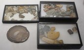 GROUP WITH PETRIFIED AND OTHER