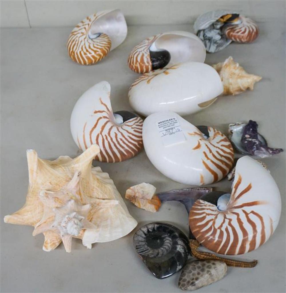 GROUP WITH SEASHELLSGroup with