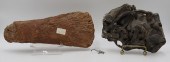 GROUPING OF FOSSILIZED DINOSAU