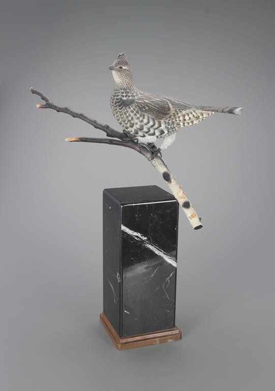 GROUSE ON A BIRCH LIMBLionel