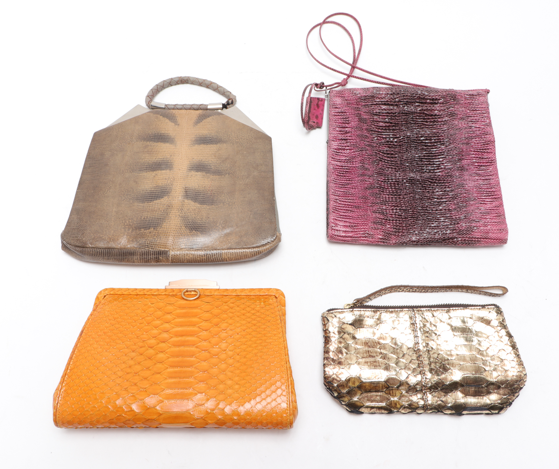 GUCCI, LAI, & OTHER LIZARD & PYTHON