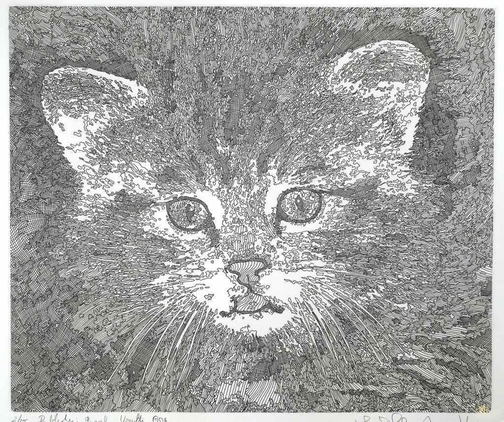 GUILLAUME AZOULAY, KITTEN