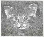 GUILLAUME AZOULAY, KITTEN ETCH