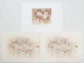 GUILLAUME AZOULAY. THREE UNFRA