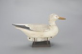 GULLMark S. McNair (b. 1950)
C