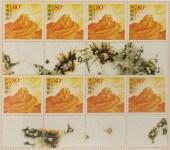 GUNPOWER STAMPS, CAI GUO-QIANG
