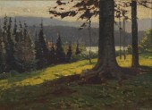 GUSTAVE ADOLPH WIEGAND (AMERIC