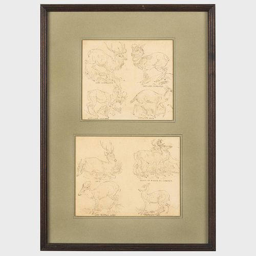 GUSTAVE DELOYE (1838-1899): STUDIES