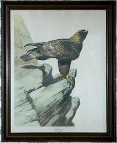 GUY COLELEACH EAGLE PRINTA pen