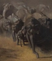 H. CONRAD, HERD OF ELEPHANTS,