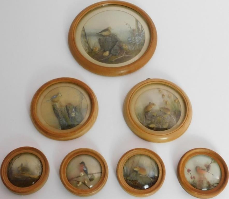 H. E. HERVEY, RMS, COLLECTION OF