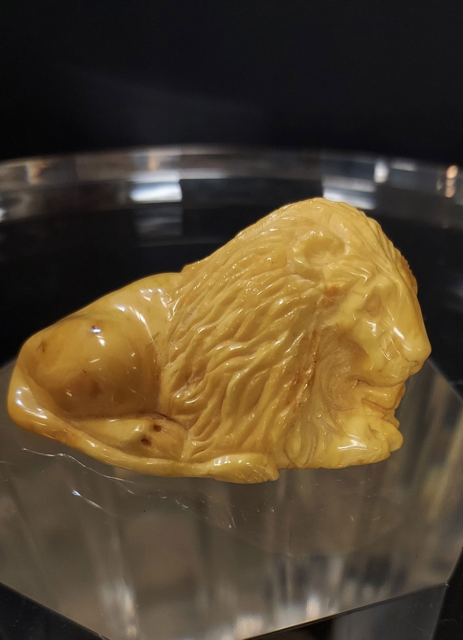 H002 CARVED BALTIC AMBER LION EGG