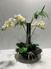 H1053 SILK ORCHID & FAUX BAMBO