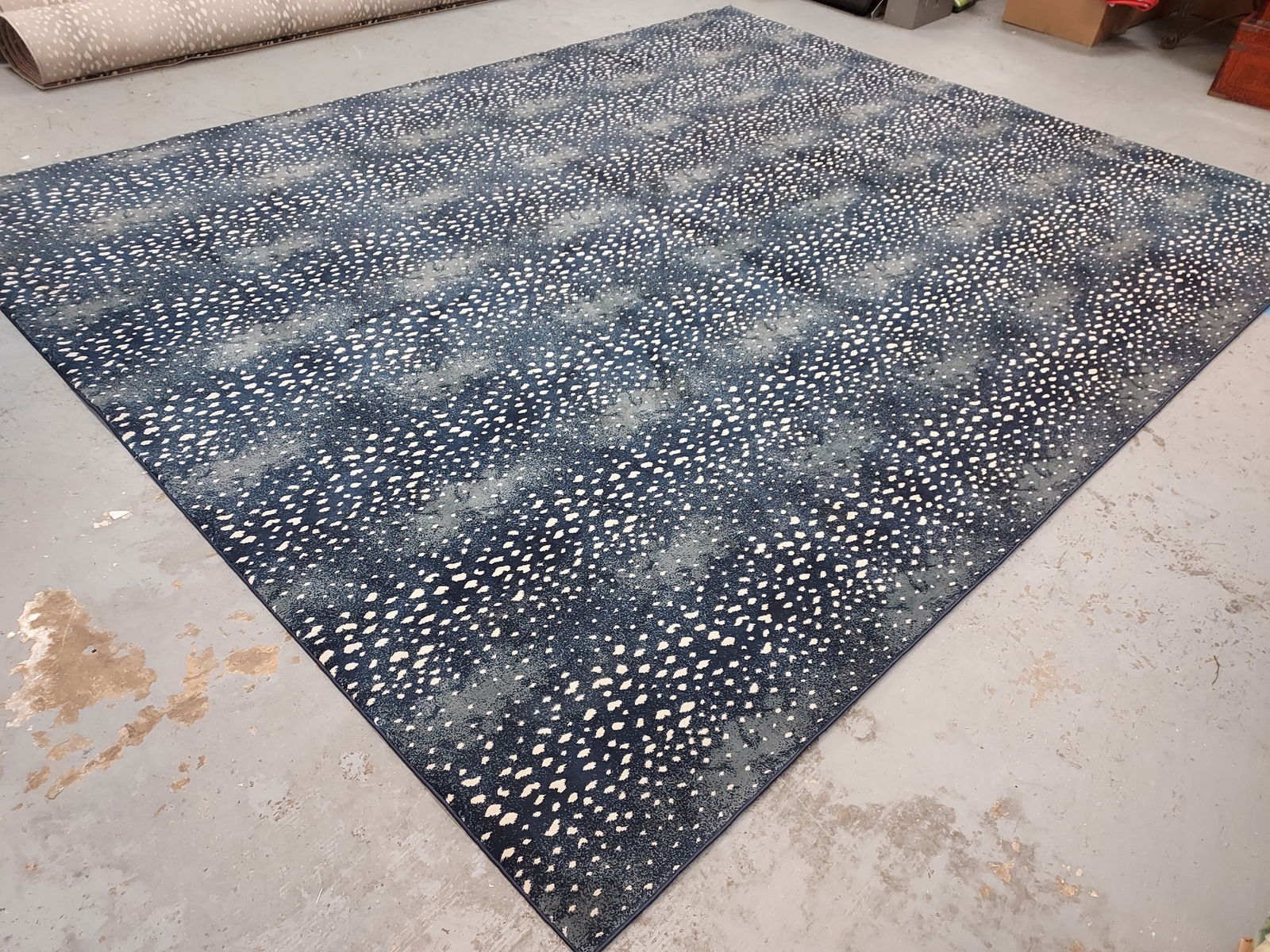 H180 STARK STUDIO CARPET