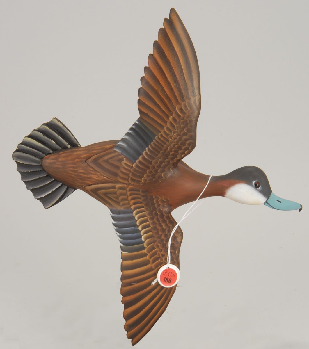 HALF-SIZE RUDDY DUCK DRAKE IN
